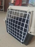 Kattenreismand, Dieren en Toebehoren, Ophalen
