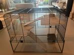Hamsterkooi 59 breed 38 diep 47 hoog, Dieren en Toebehoren, Knaagdieren en Konijnen | Hokken en Kooien, Kooi, Minder dan 75 cm