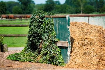 GRATIS paardenmest binnekort af te halen beschikbaar voor biedingen