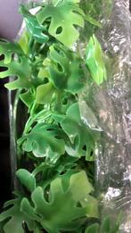 Zoomed Naturalistic flora Amazonian phyllo terrariumplant., Ophalen of Verzenden, Nieuw, Tak, Plant, Rots of Steen