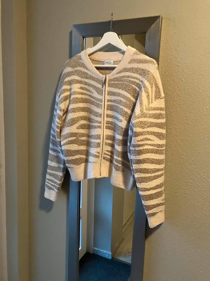 Zebra-Vest # goud met wolwit # Maat M, Kleding | Dames, Truien en Vesten, Zo goed als nieuw, Maat 38/40 (M), Beige, Ophalen of Verzenden