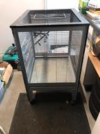 Grote vogelkooi, Dieren en Toebehoren, Ophalen of Verzenden, Zo goed als nieuw, Metaal, Vogelkooi