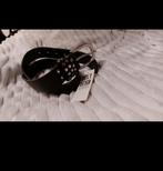 Zwarte riem, Kleding | Dames, 100 cm of meer, Zwart, Nieuw, Tailleriem