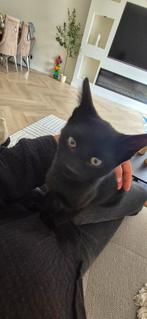 Kat., 0 tot 2 jaar