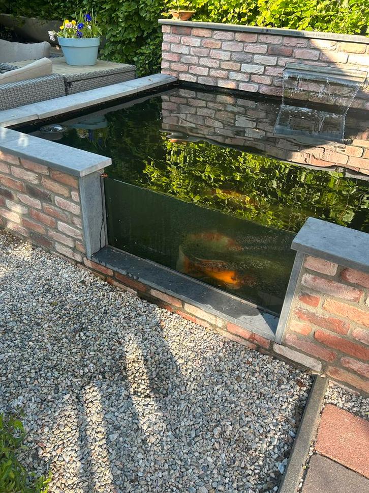 Complete Koi Vijver te Koop, Tuin en Terras, Vijvers, Gebruikt, Ophalen