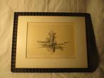 Warner Hemstede ets Libelles, Antiek en Kunst, Kunst | Etsen en Gravures, Verzenden