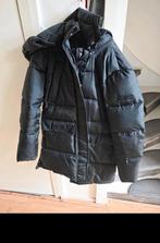 Malelions Winterjas - Weinig Gedragen, Malelions, Ophalen of Verzenden, Zo goed als nieuw, Zwart