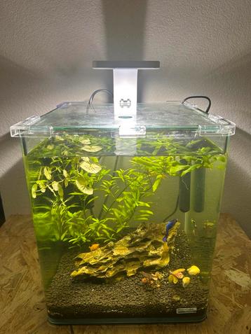 Nano Cube 20L beschikbaar voor biedingen