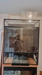 Terrarium 80x40x100, Dieren en Toebehoren, Reptielen en Amfibieën | Toebehoren, Ophalen, Gebruikt, Terrarium of Paludarium