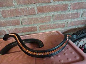 Frontriem full beschikbaar voor biedingen