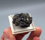 Antimoniet, Sfaleriet, Arsenopyriet - Casapalca Mine, Peru, Ophalen of Verzenden, Mineraal