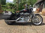 Harley-Davidson Superlow Sportster 1200 Custom/3200 kms, Motoren, Motoren | Harley-Davidson, 2 cilinders, Chopper, Particulier