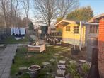 9 hennen, Dieren en Toebehoren, Meerdere dieren, Kip