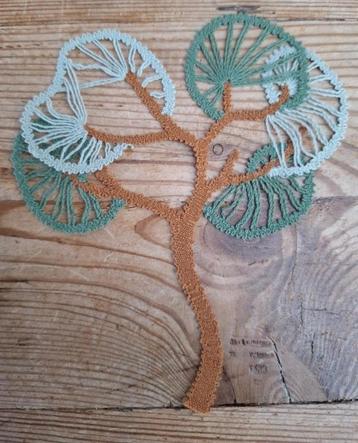 Gekantkloste boom beschikbaar voor biedingen