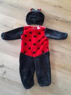 Verkleedkleren lieveheersbeestje maat 98, Kinderen en Baby's, Carnavalskleding en Verkleedspullen, Ophalen of Verzenden, Zo goed als nieuw