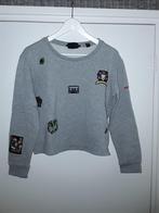Scotch & Soda Grijze Trui Met Embleem Maat P = Maat XS, Kleding | Dames, Verzenden, Scotch & Soda, Zo goed als nieuw, Maat 34 (XS) of kleiner