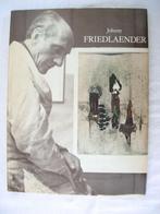 Friedlaender Gemälde und Radierungen met originele litho, Gelezen, Friedlaender, Verzenden, Overige onderwerpen