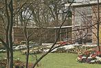 805034	Lisse	1959 ZH Keukenhof	Gelopen met postzegel, Verzamelen, Ansichtkaarten | Nederland, Ophalen of Verzenden, 1940 tot 1960
