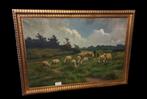 Henri Matthijs (XIX-XX) schapen met herder., Antiek en Kunst, Kunst | Schilderijen | Klassiek, Ophalen
