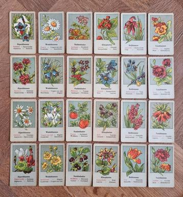 Te koop 24 delig vintage bloemen kwartet.In nieuwstaat. beschikbaar voor biedingen