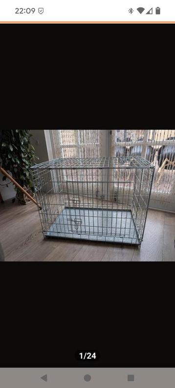 Honden bench/schoenen/periode broek/Konijn verzorging set beschikbaar voor biedingen