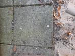 gratis ophalen zelf er uithalen 28 stuks   30x30cm, Tuin en Terras, Ophalen of Verzenden, Gebruikt, Beton, Terrastegels