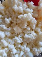 Bijna gratis Melkkefir-, Waterkefirkorrels of Kombuchazwam, Ophalen