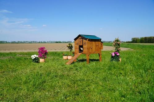 Trespa Kippenhok / Duplex L - Cucciolotta, Dieren en Toebehoren, Pluimvee | Toebehoren, Nieuw, Kippenhok of Kippenren, Ophalen of Verzenden