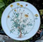 Villeroy & Boch Botanica Gebloemd Bord, Ophalen of Verzenden