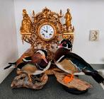 Opgezette eenden, Verzamelen, Dierenverzamelingen, Ophalen, Zo goed als nieuw, Vogel, Opgezet dier