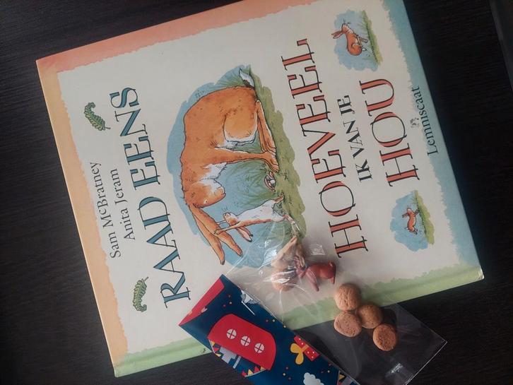 Schoencadeautje prentenboek met extra, Boeken, Kinderboeken | Kleuters, Fictie algemeen, Ophalen of Verzenden