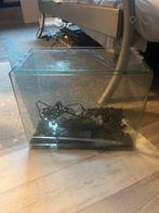 Aquarium met decoratie en pomp, Dieren en Toebehoren, Ophalen, Gebruikt, Leeg aquarium