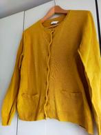 Sissy Boy vest mt M, Maat 38/40 (M), Geel, Sissy-Boy, Ophalen of Verzenden