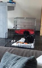 Honden / knaagdieren bench ren 10 stuks, Dieren en Toebehoren, Ophalen of Verzenden, Zo goed als nieuw