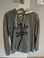 Adidas Florida Panthers Hoodie - Maat S - Grijs, Kleding | Heren, Ophalen of Verzenden, Gedragen, Maat 46 (S) of kleiner, Grijs