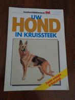 UW hond in kruissteek borduren, Ophalen of Verzenden, Zo goed als nieuw, Patroon