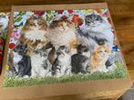 Jumbo puzzel 950 stukjes cat family francien 1 x gelegd, Ophalen of Verzenden, 500 t/m 1500 stukjes, Legpuzzel, Zo goed als nieuw