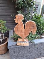 Haan, Mannelijk, Kip