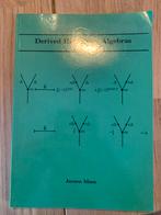 Derived Hecke Algebras - Jeroen Maes, Ophalen of Verzenden, Gelezen