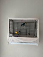 Agapornis, Ophalen of Verzenden, Zo goed als nieuw, Metaal, Vogelkooi