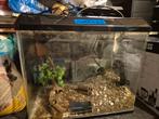 Aqarium met extra's, Ophalen, Zo goed als nieuw, Leeg aquarium