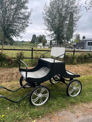 Shetlander/A pony menwagen beschikbaar voor biedingen