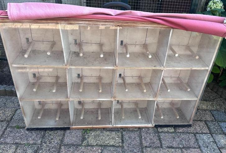 Kast voor tentoonstellingen, Dieren en Toebehoren, Vogels | Hokken en Kooien, Nieuw, Broedkooi of Kweekkooi, Hout, Ophalen