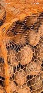 Te koop gedroogde walnoten uit 2025, Ophalen