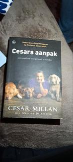 Cesar Millan - Cesars aanpak, Ophalen of Verzenden
