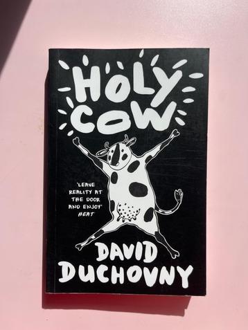Holy cow David Duchovny  beschikbaar voor biedingen