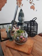 Planten terrarium groeilamp industrieel, Huis en Inrichting, Ophalen, Zo goed als nieuw, Minder dan 100 cm