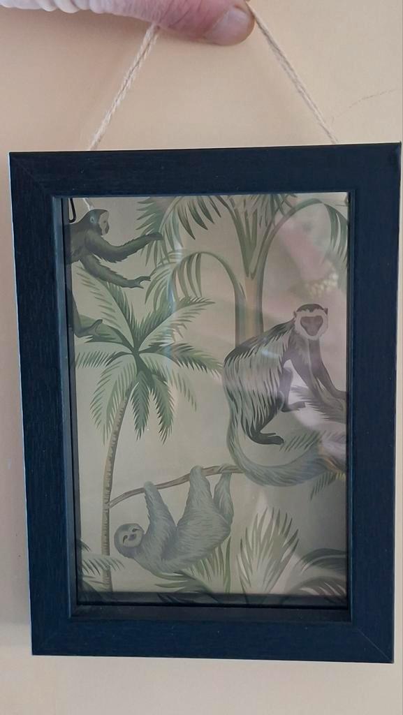 Apen en Luiaard Print in Lijst, Huis en Inrichting, Woonaccessoires | Schilderijen, Tekeningen en Foto's, Zo goed als nieuw, Print