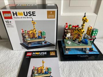 IN NIEUWSTAAT Lego 40503 Dagny Holm Master Builder beschikbaar voor biedingen