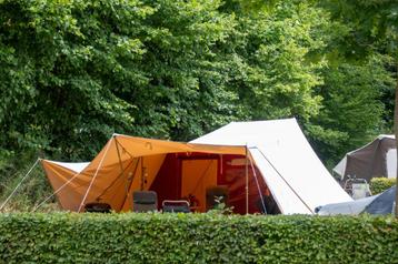 De Waard tent: Vergrote zilvermeeuw met varioluifel beschikbaar voor biedingen